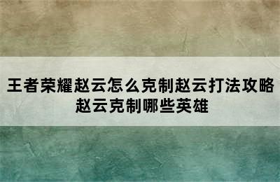 王者荣耀赵云怎么克制赵云打法攻略 赵云克制哪些英雄